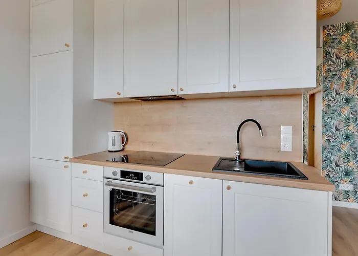 Ms Doki I グダニスク