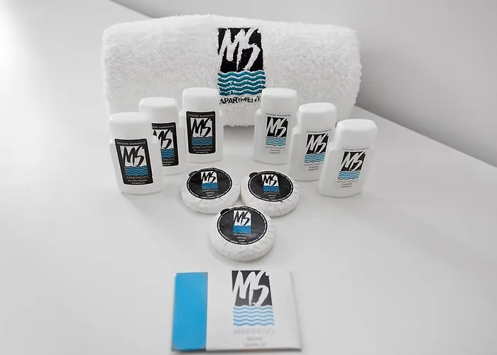 Ms Doki I グダニスク